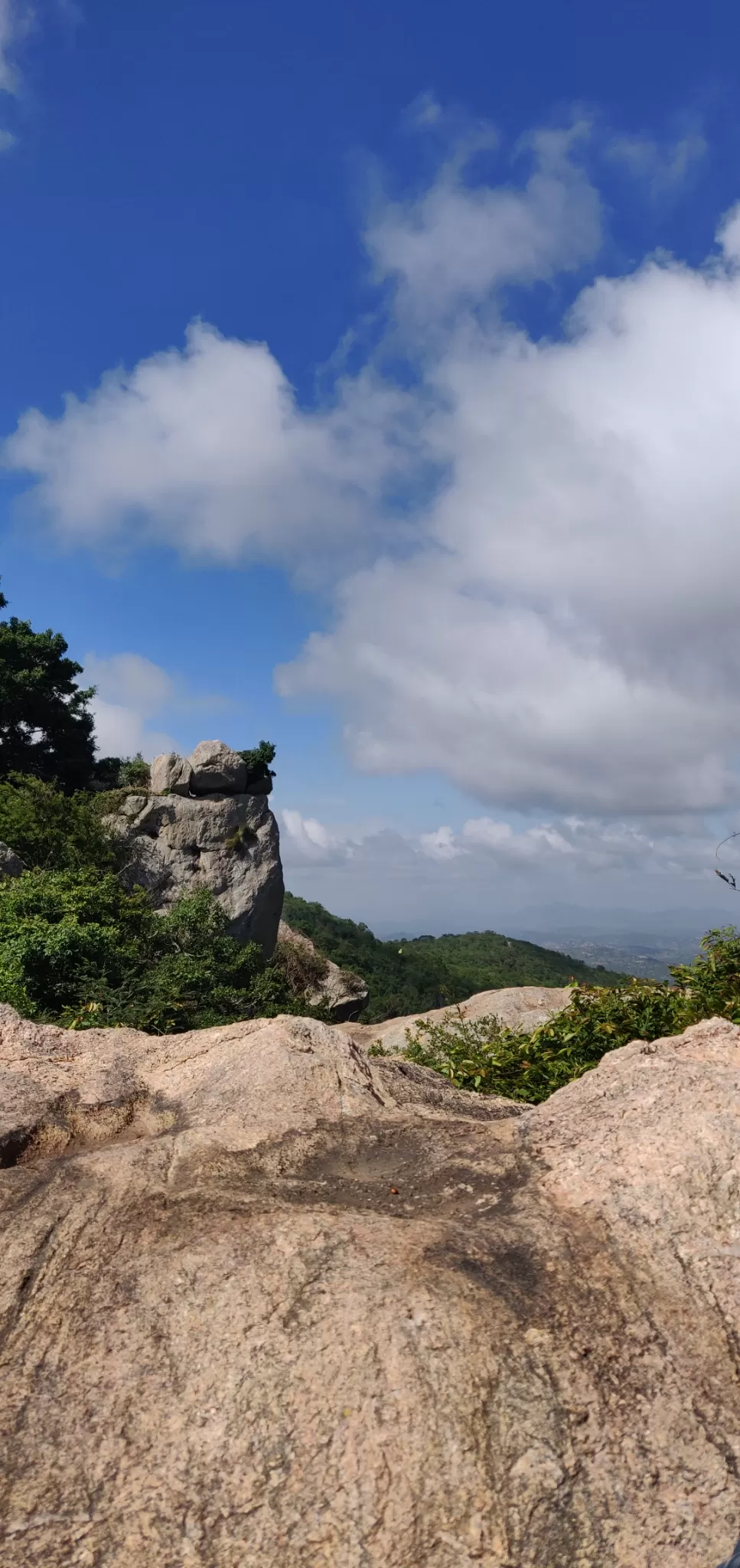 Photo of Bilikal Rangaswamy Betta By Pranjal Gupta