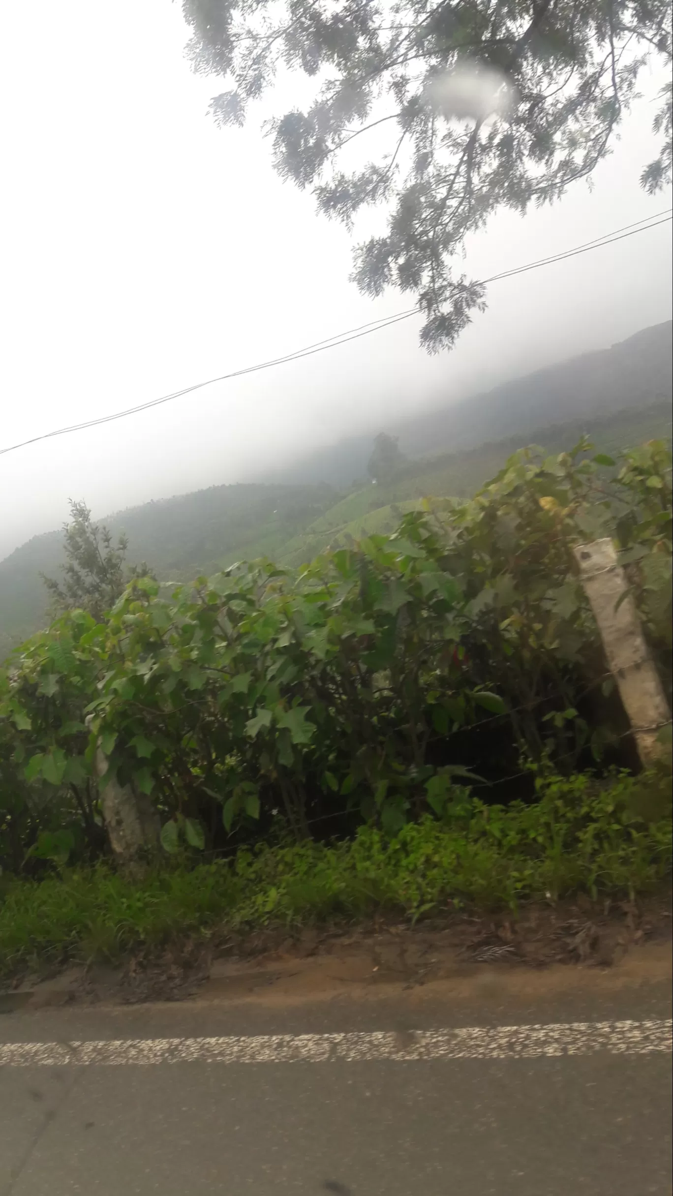 Photo of Munnar By Zainub Abbas Burhani