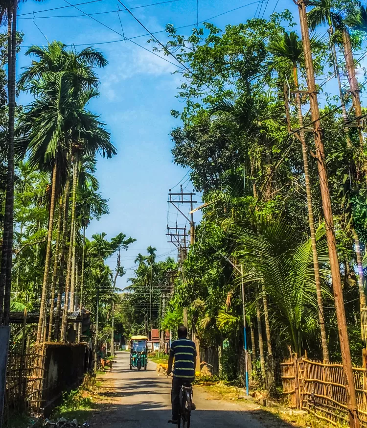 Photo of Jayanti River Bridge By Ruth_Traveldiaries