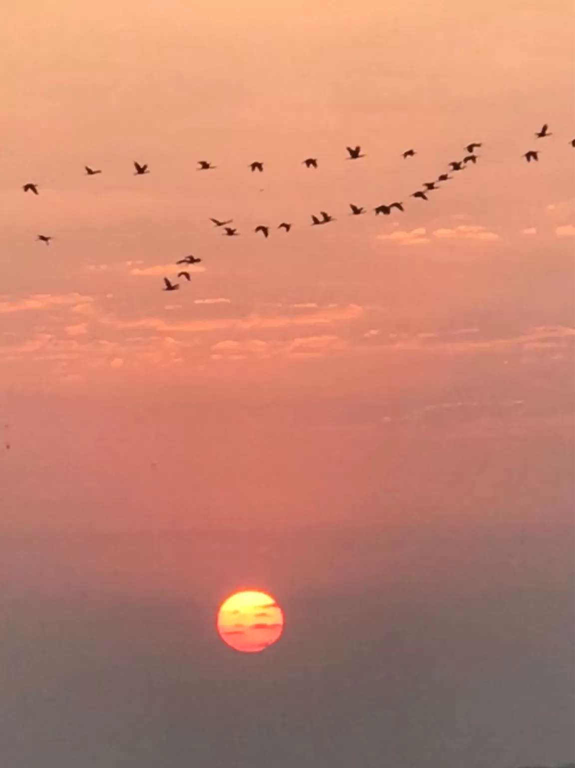 Photo of Gujarat By Ruchi