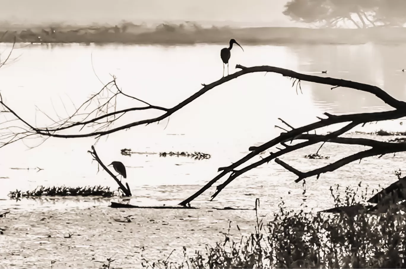 Photo of Gujarat By Ruchi