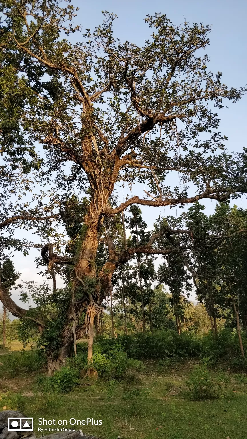 Photo of Village Bhalon By Hitendra Gupta