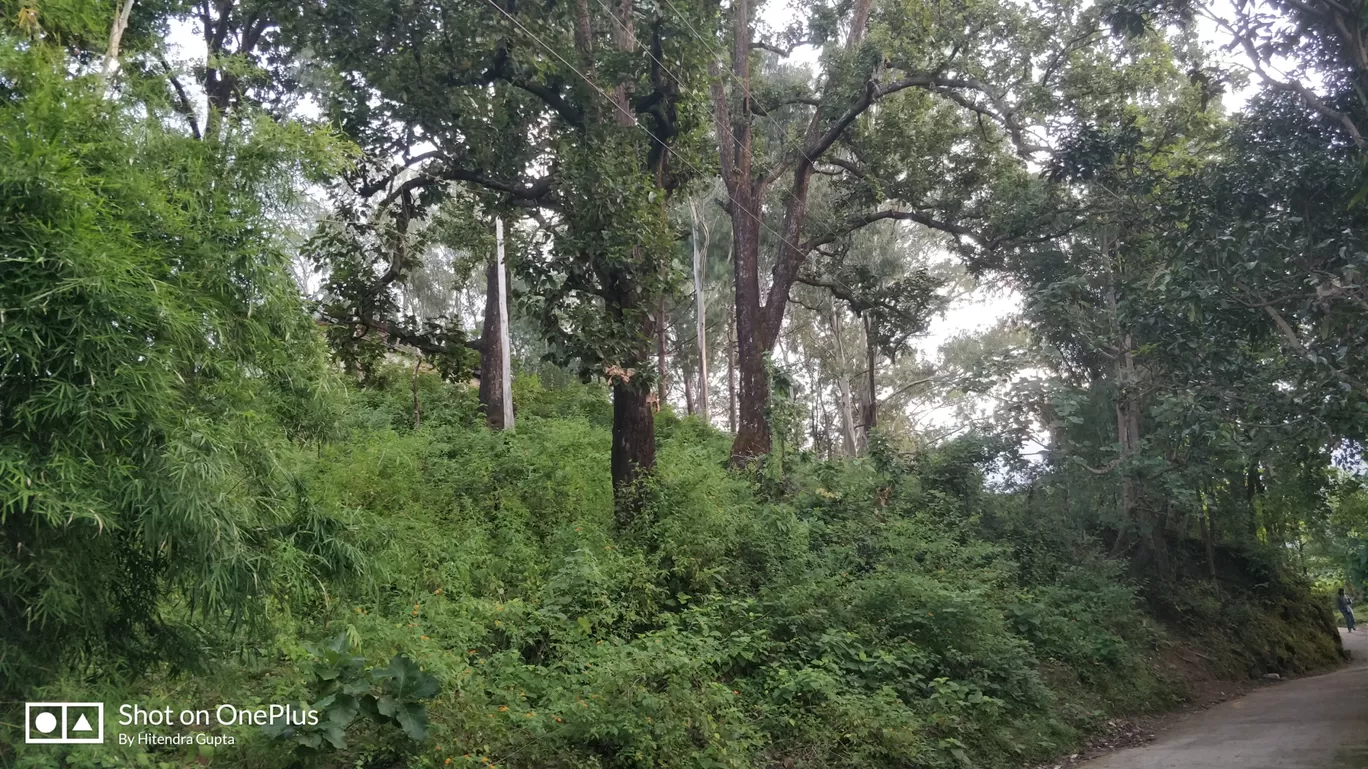 Photo of Village Bhalon By Hitendra Gupta