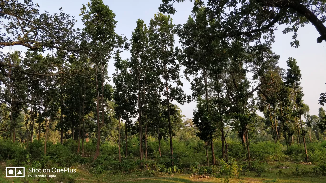 Photo of Village Bhalon By Hitendra Gupta