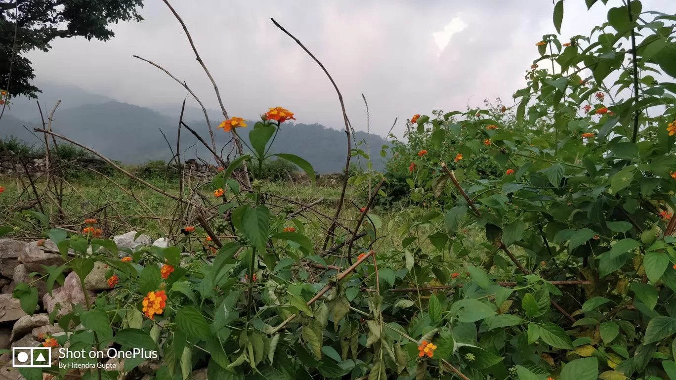 Photo of Village Bhalon By Hitendra Gupta