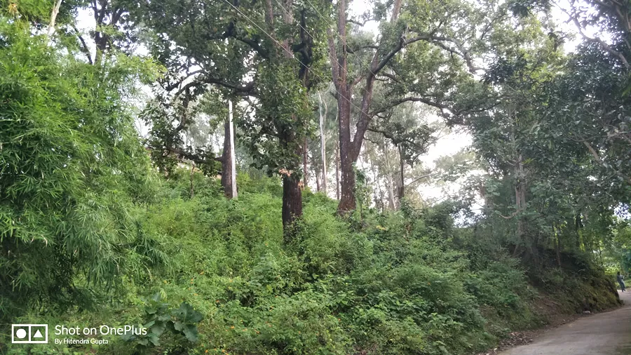 Photo of Sitabani Wildlife Reserve By Hitendra Gupta