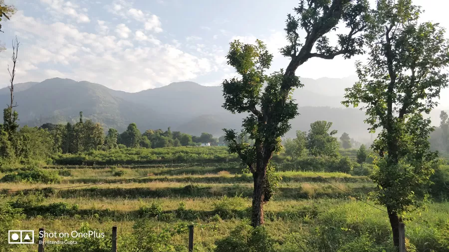 Photo of Sitabani Wildlife Reserve By Hitendra Gupta