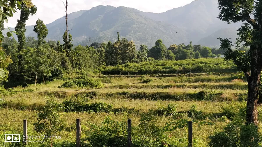 Photo of Sitabani Wildlife Reserve By Hitendra Gupta