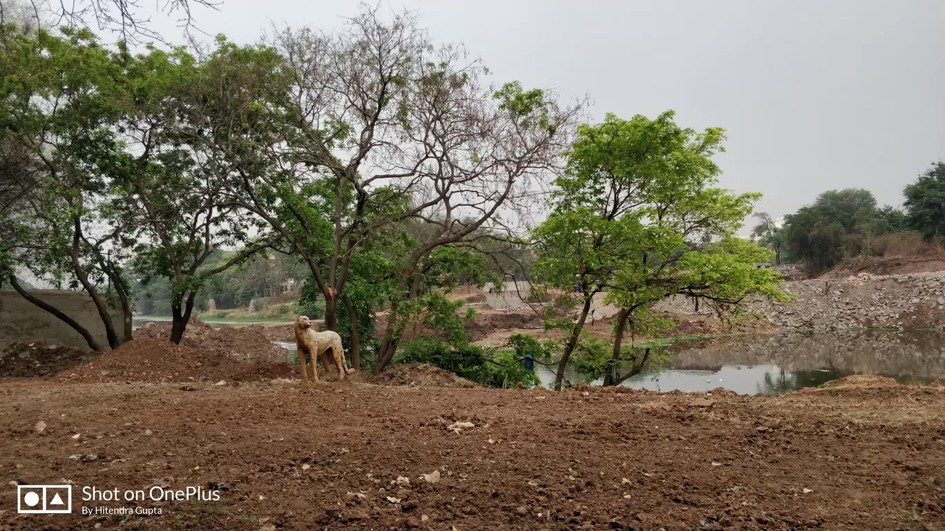 Photo of Chatrapati Shahu Maharaj Pakshi Vihar Kendra By Hitendra Gupta