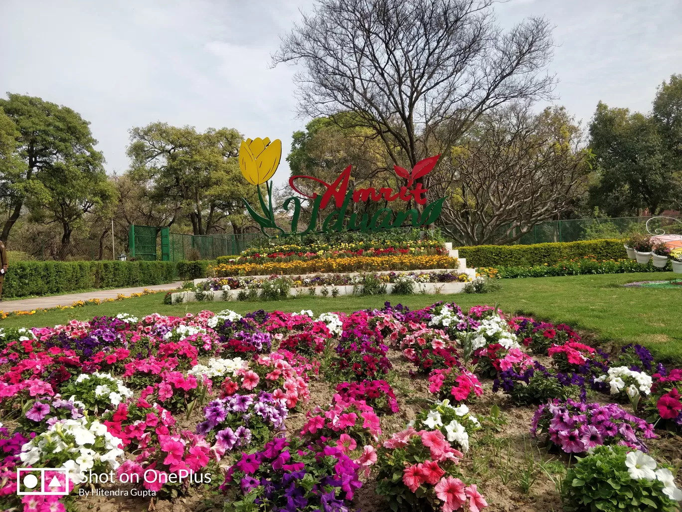 Photo of Rashtrapati Bhavan By Hitendra Gupta