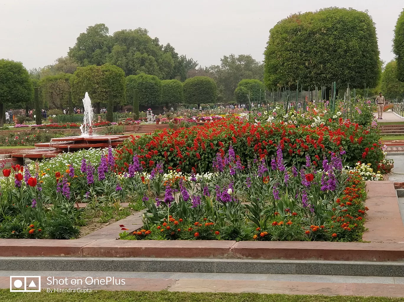 Photo of Rashtrapati Bhavan By Hitendra Gupta