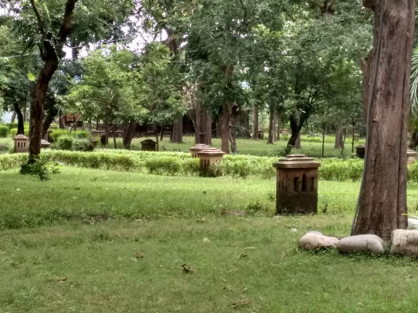 Photo of Jim Corbett National Park By Tanushri Adhikari