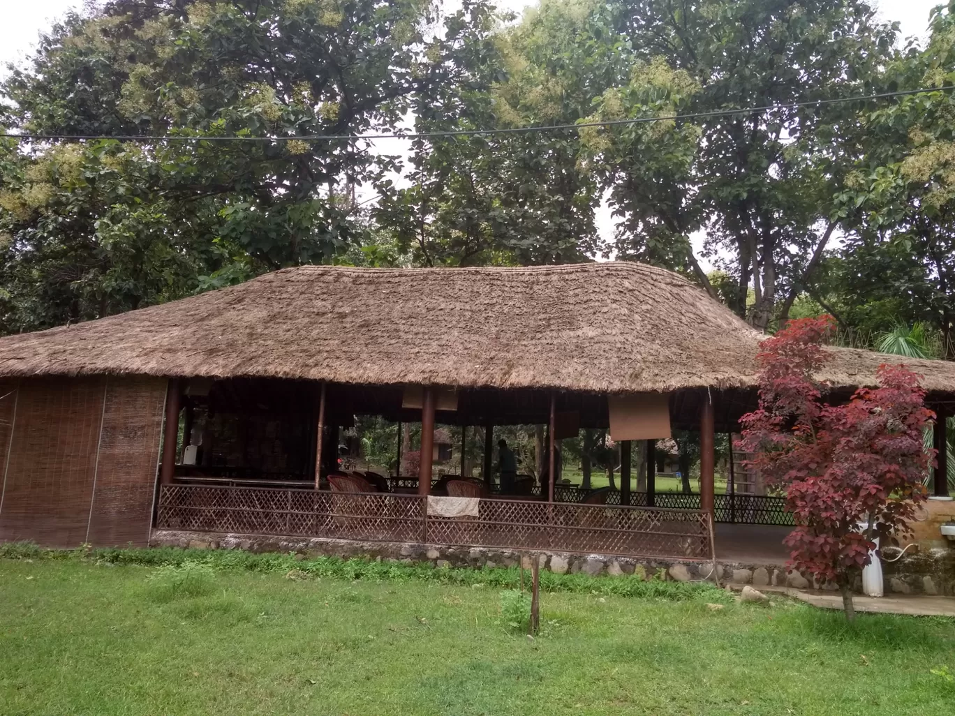 Photo of Jim Corbett National Park By Tanushri Adhikari