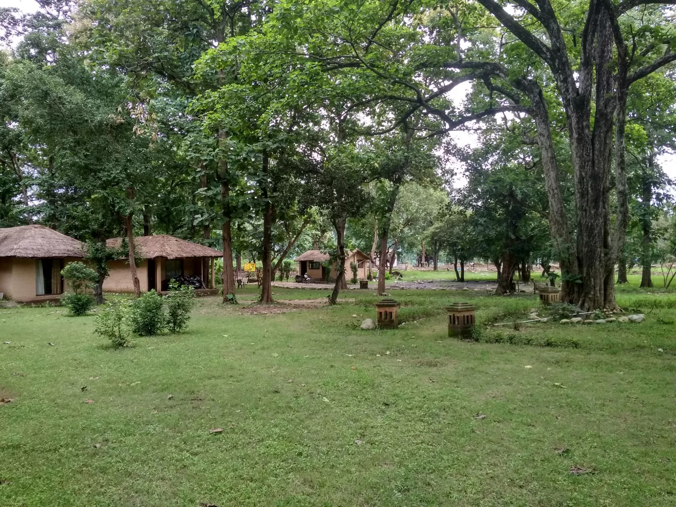 Photo of Jim Corbett National Park By Tanushri Adhikari