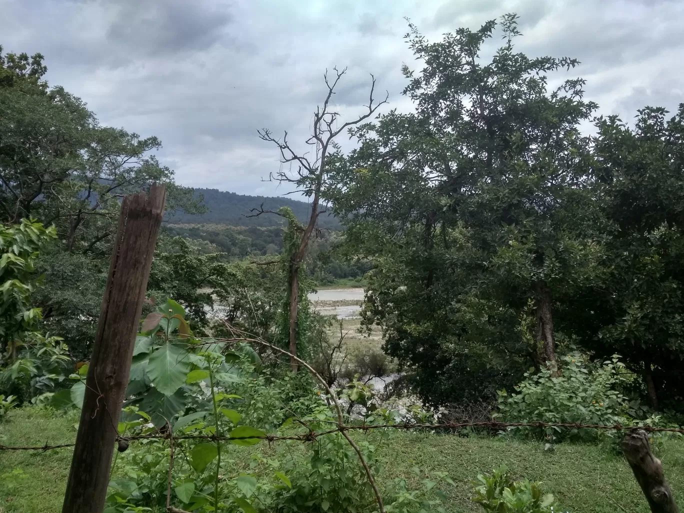 Photo of Jim Corbett National Park By Tanushri Adhikari