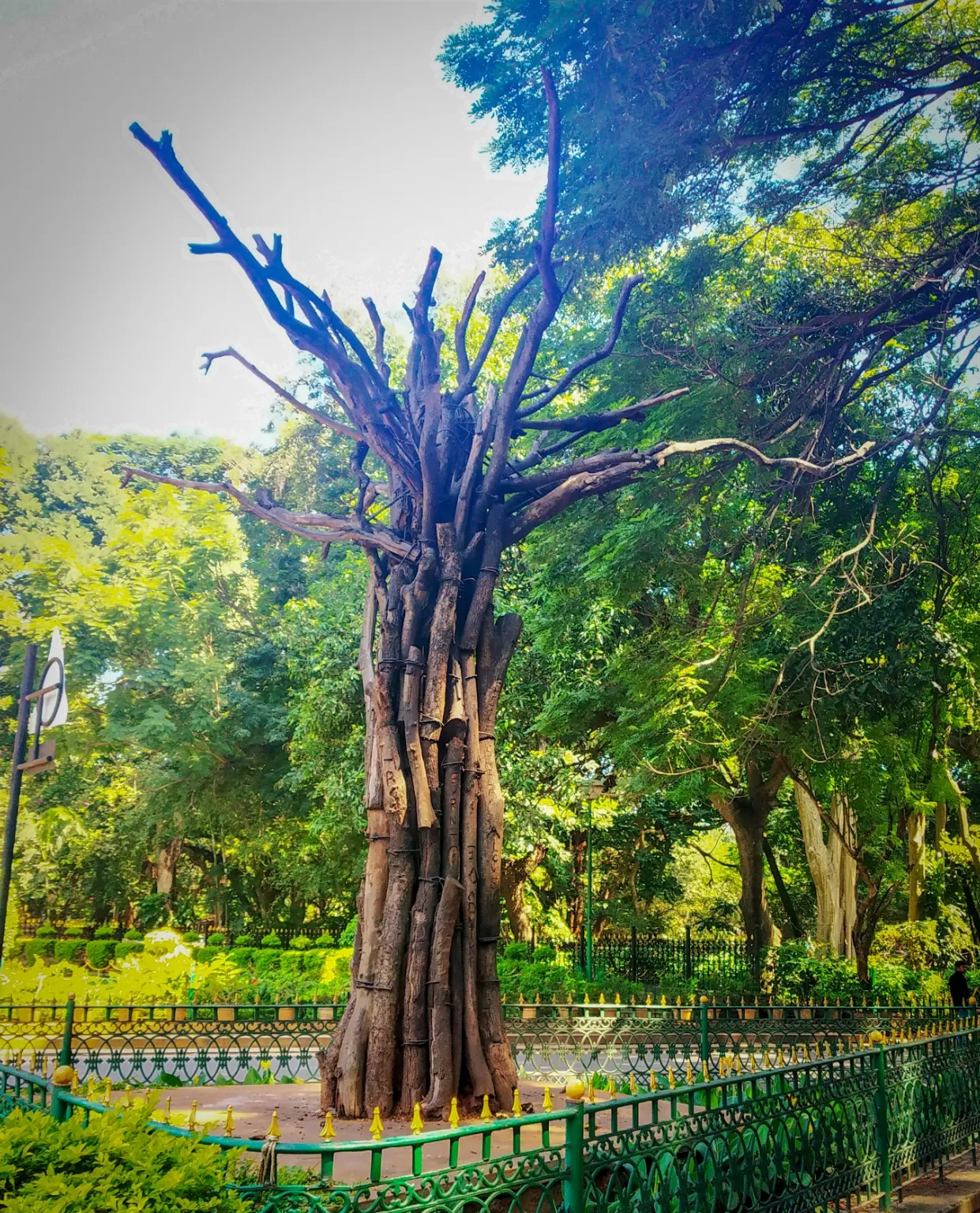 Photo of Cubbon Park By CS Anant Hegde