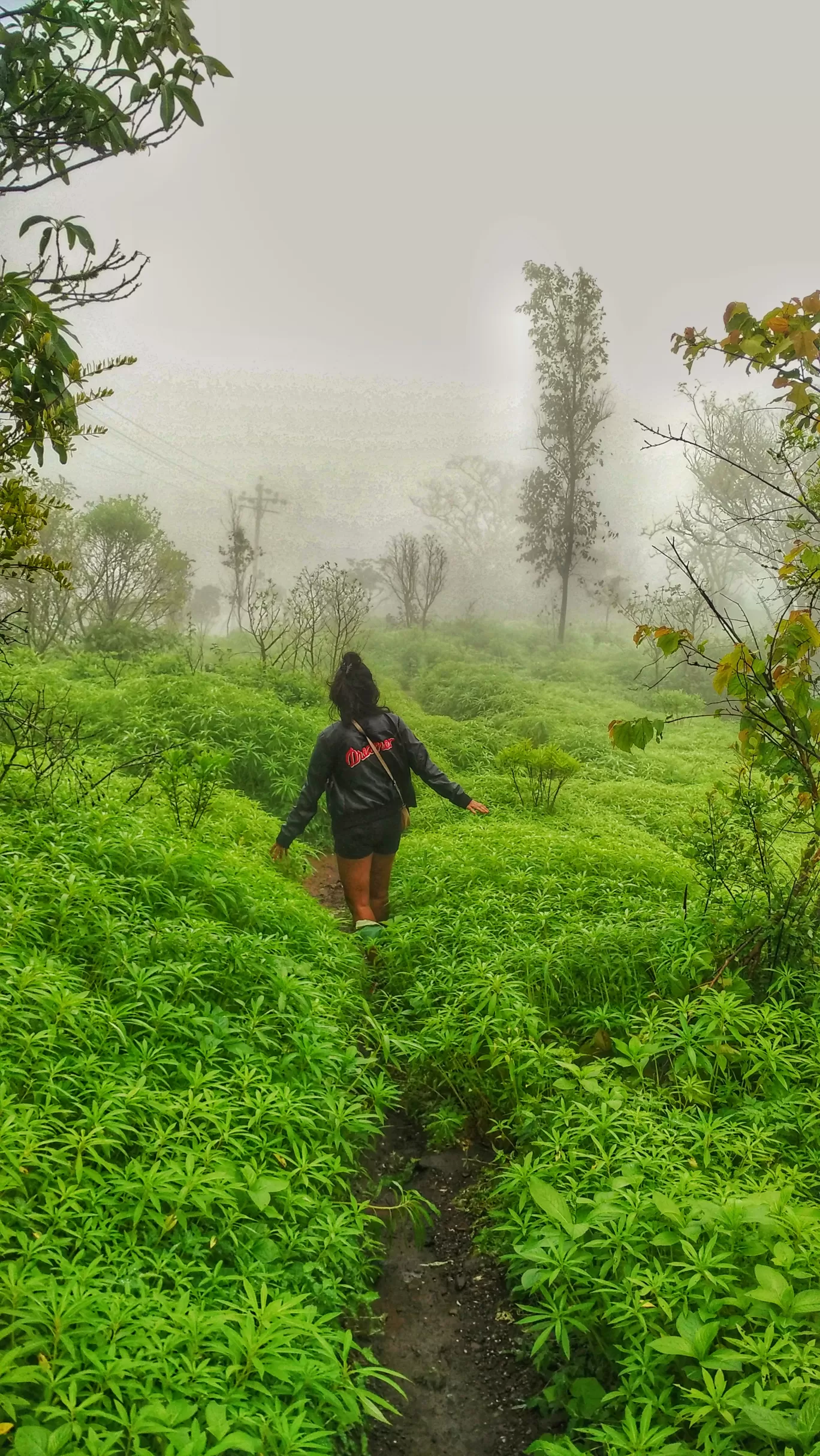 Photo of Sinhagad Road By Ashwini Ahir