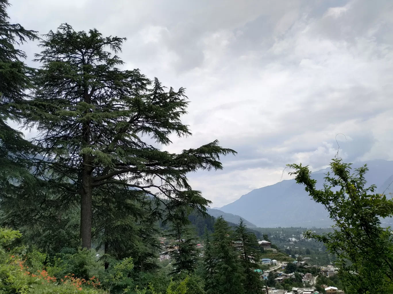 Photo of Naggar By Shreyasi Asthana