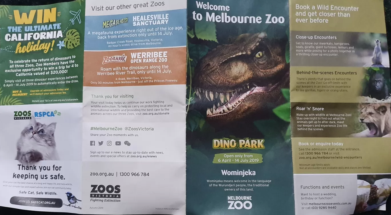 Photo of Melbourne Zoo By Mousumi Mondal