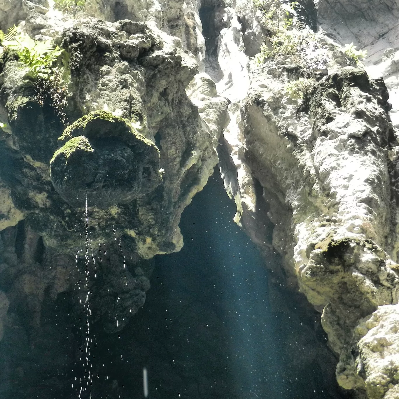 Photo of Batu Caves By Krati Mathur