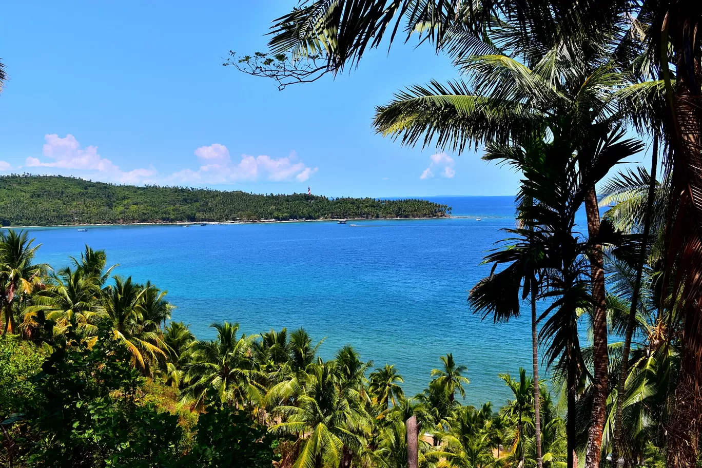 Photo of Andaman Islands By Sayantani 