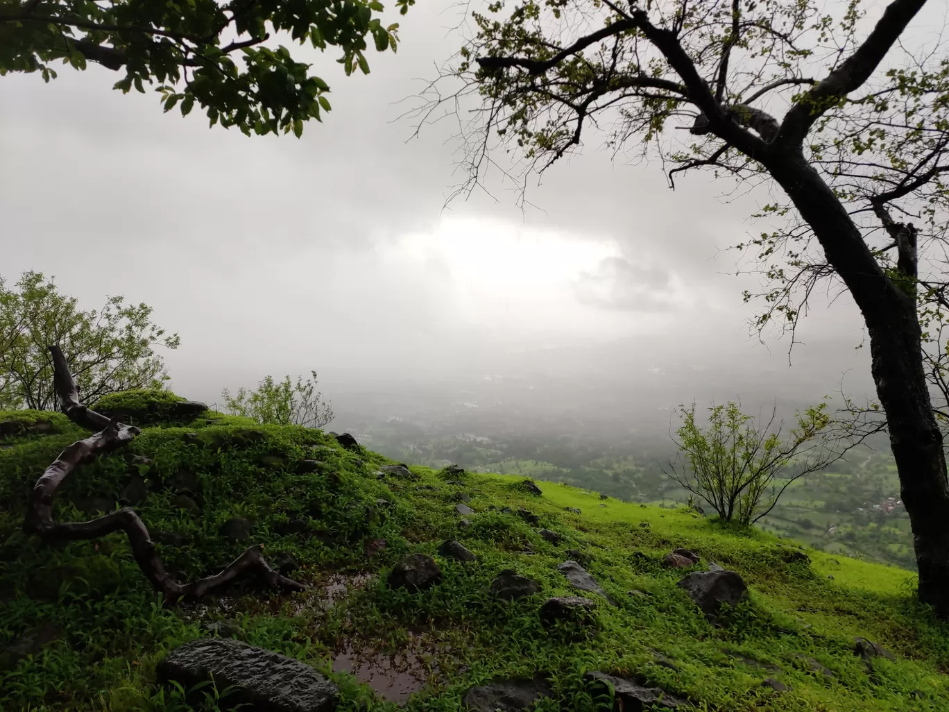 Photo of Sudhagad Fort Pali -Sudhagad By Sautrip Paul