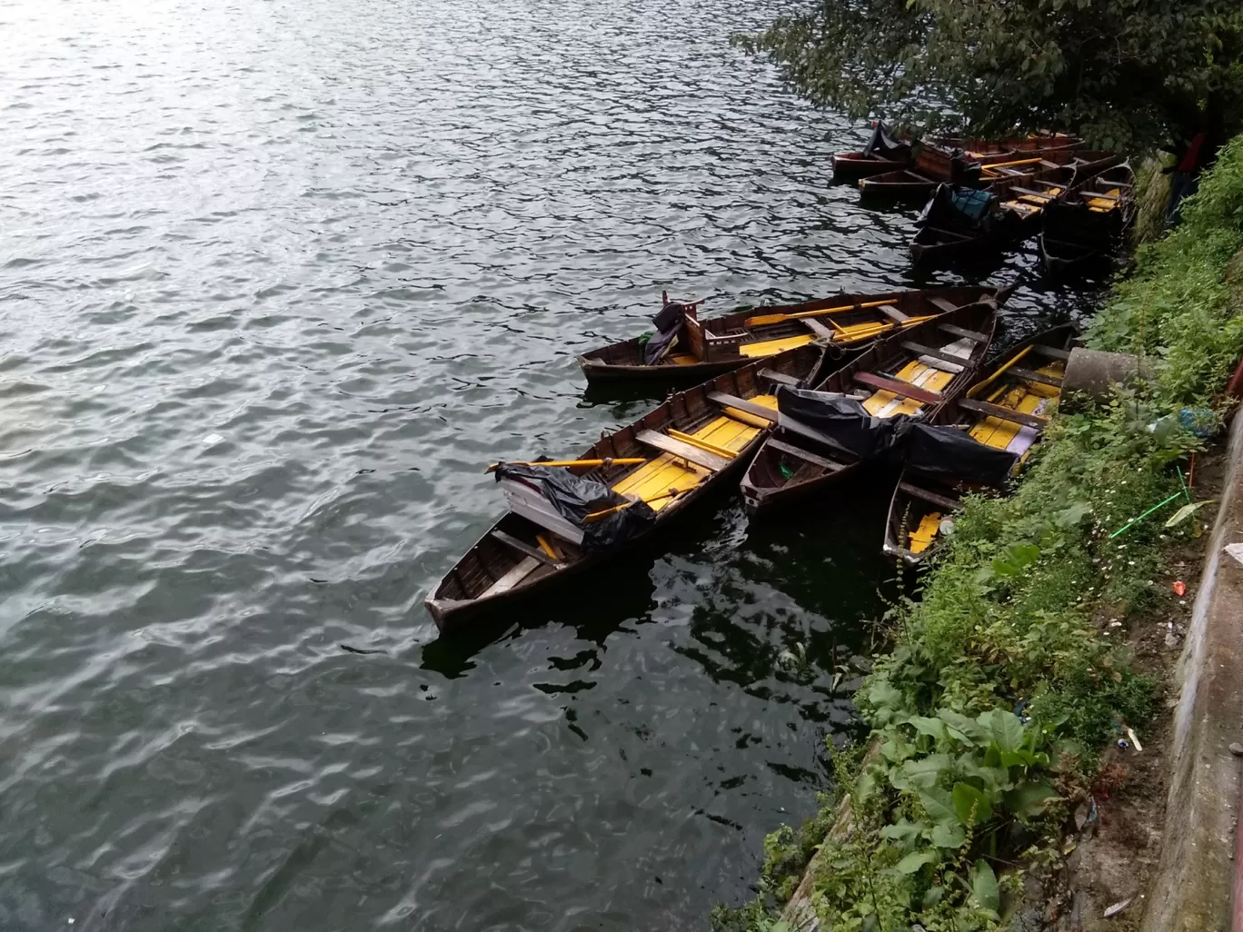 Photo of Nainital By Hemansu Chamaria