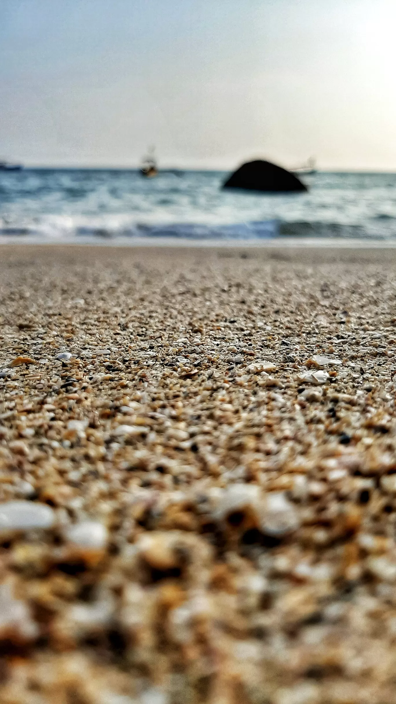 Photo of Butterfly Beach By Satish Nair