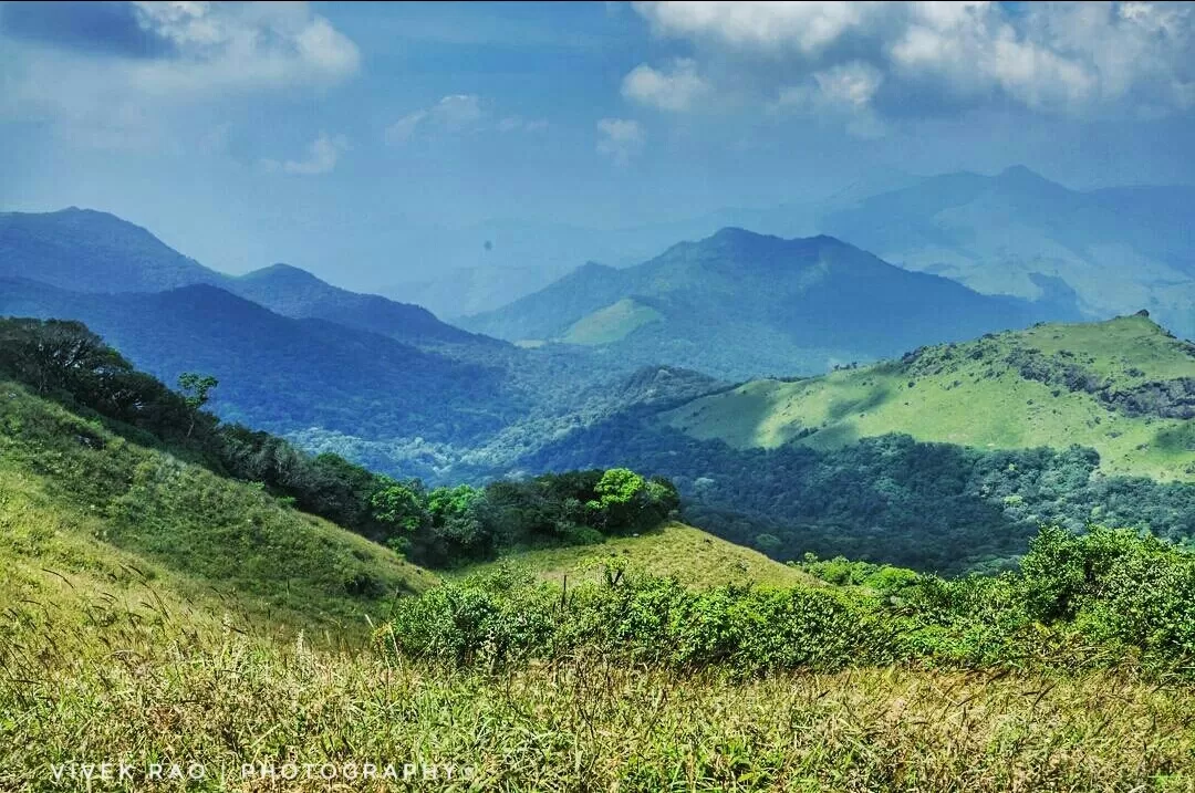 Photo of Tadiandamol Hills By Vivek Rao