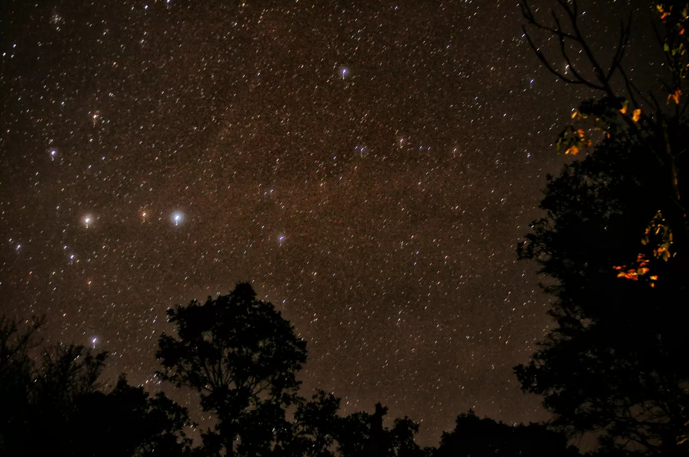 Photo of Tadiandamol Hills By Vivek Rao