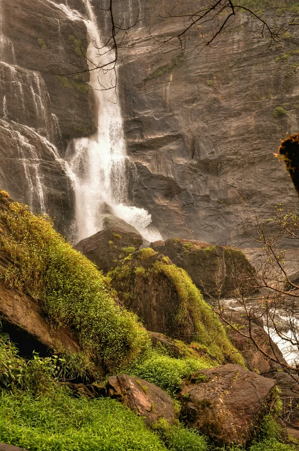 Photo of Mallalli Water Falls By Vivek Rao
