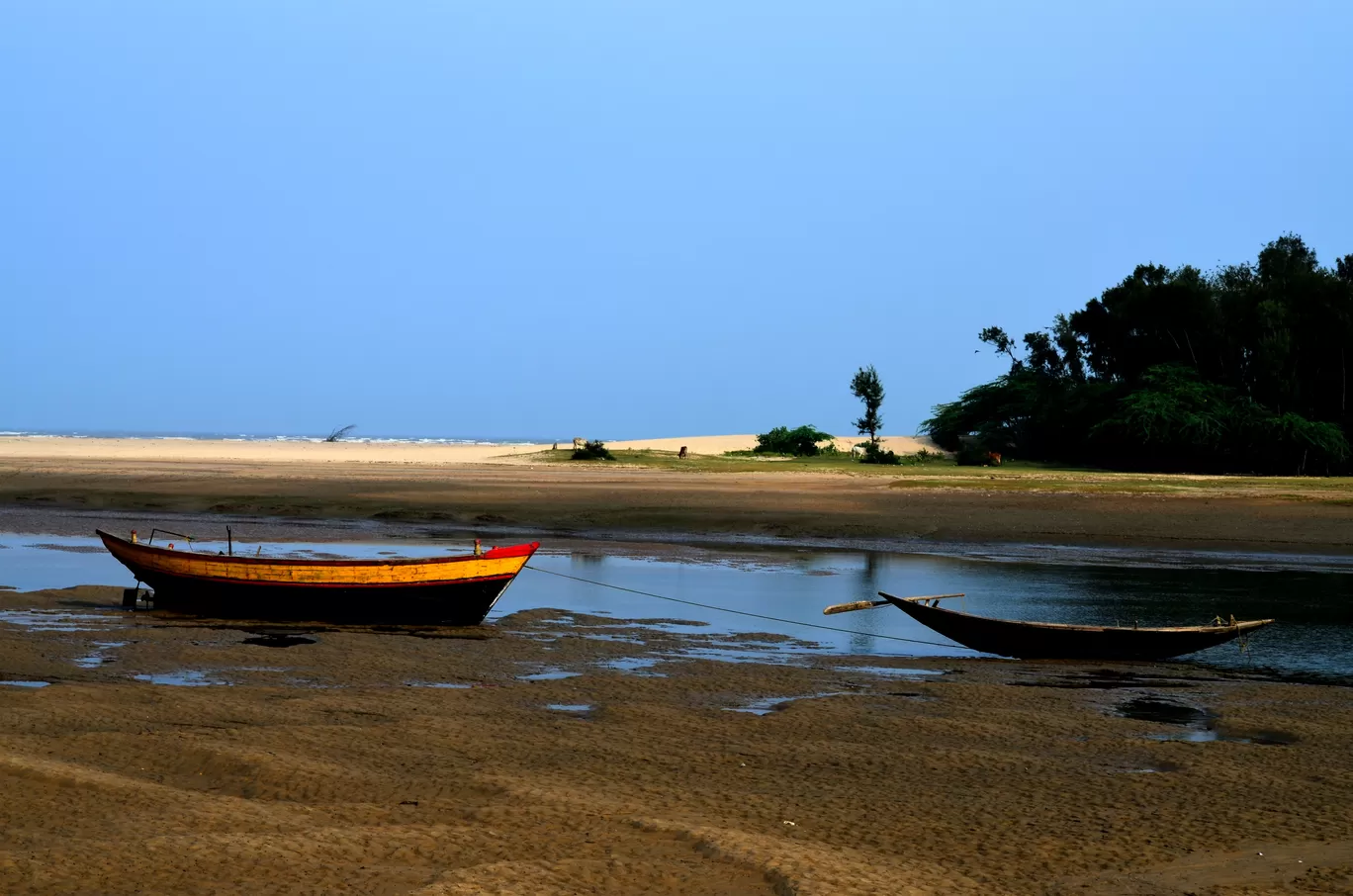 Photo of Talsari Beach By Kanailal Jana