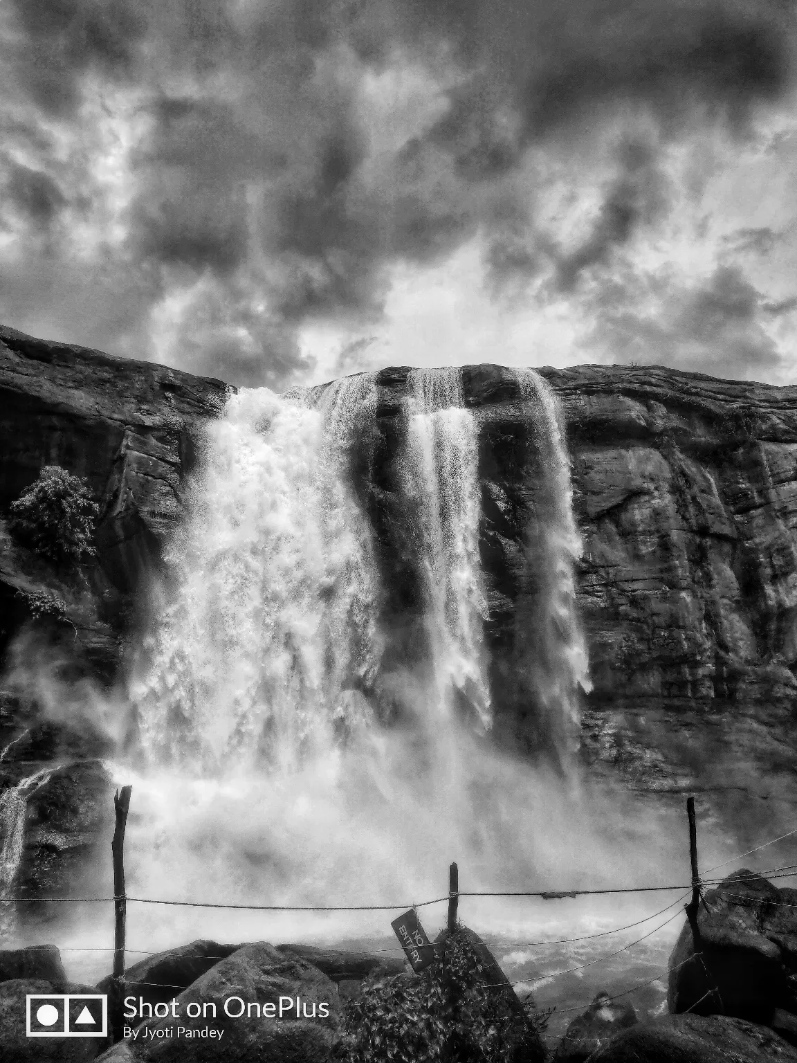 Photo of Athirappilly Water Falls By Jyoti Pandey