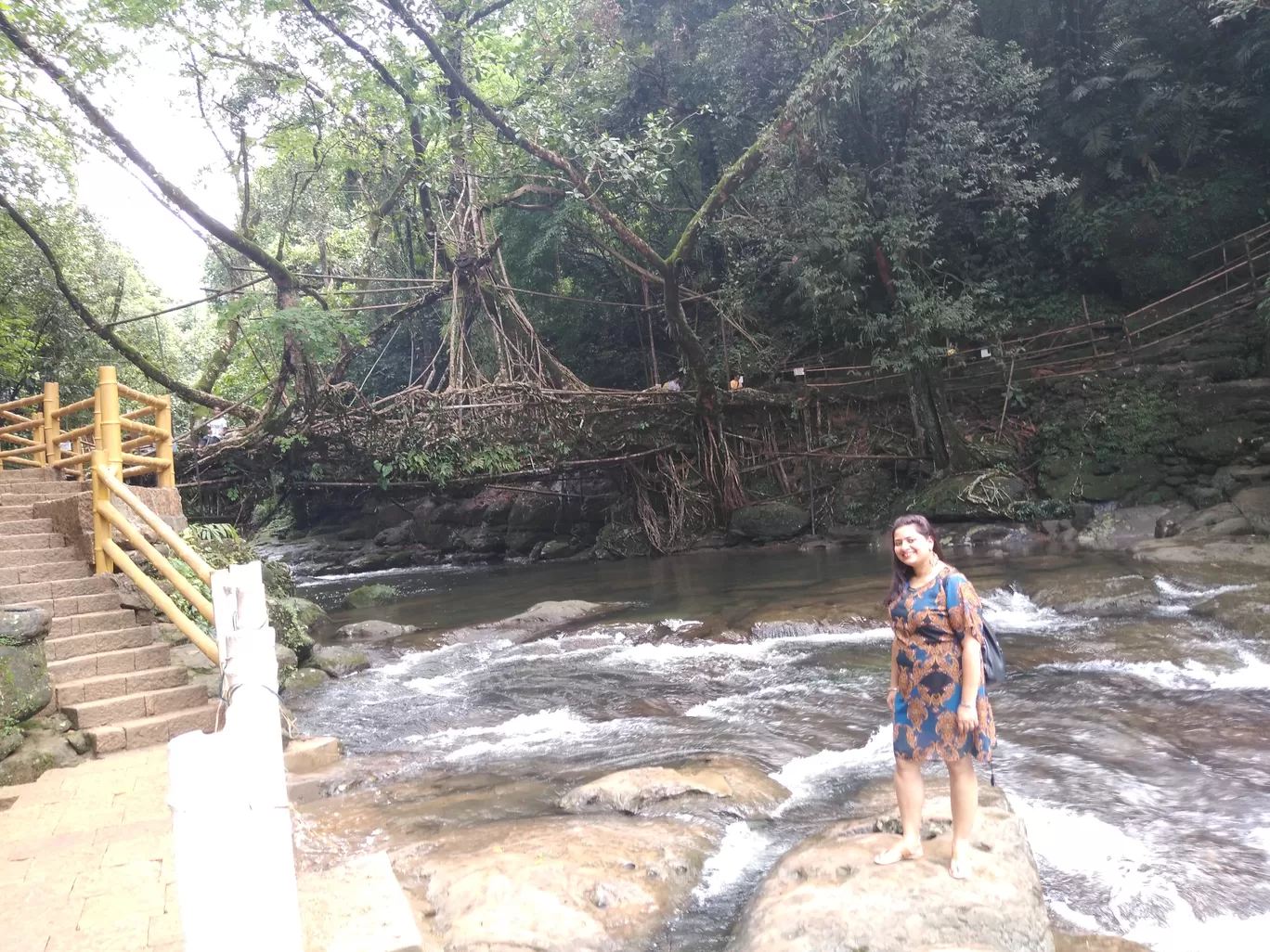 Photo of Living Root Bridge By Jyoti Pandey