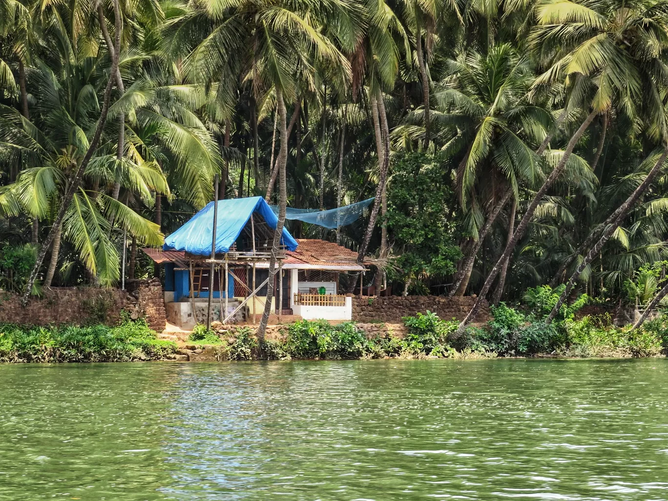 Photo of Sharavati Backwater Boat Ride By Jyoti Pandey