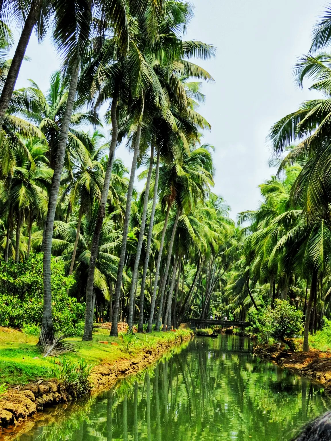 Photo of Sharavati Backwater Boat Ride By Jyoti Pandey