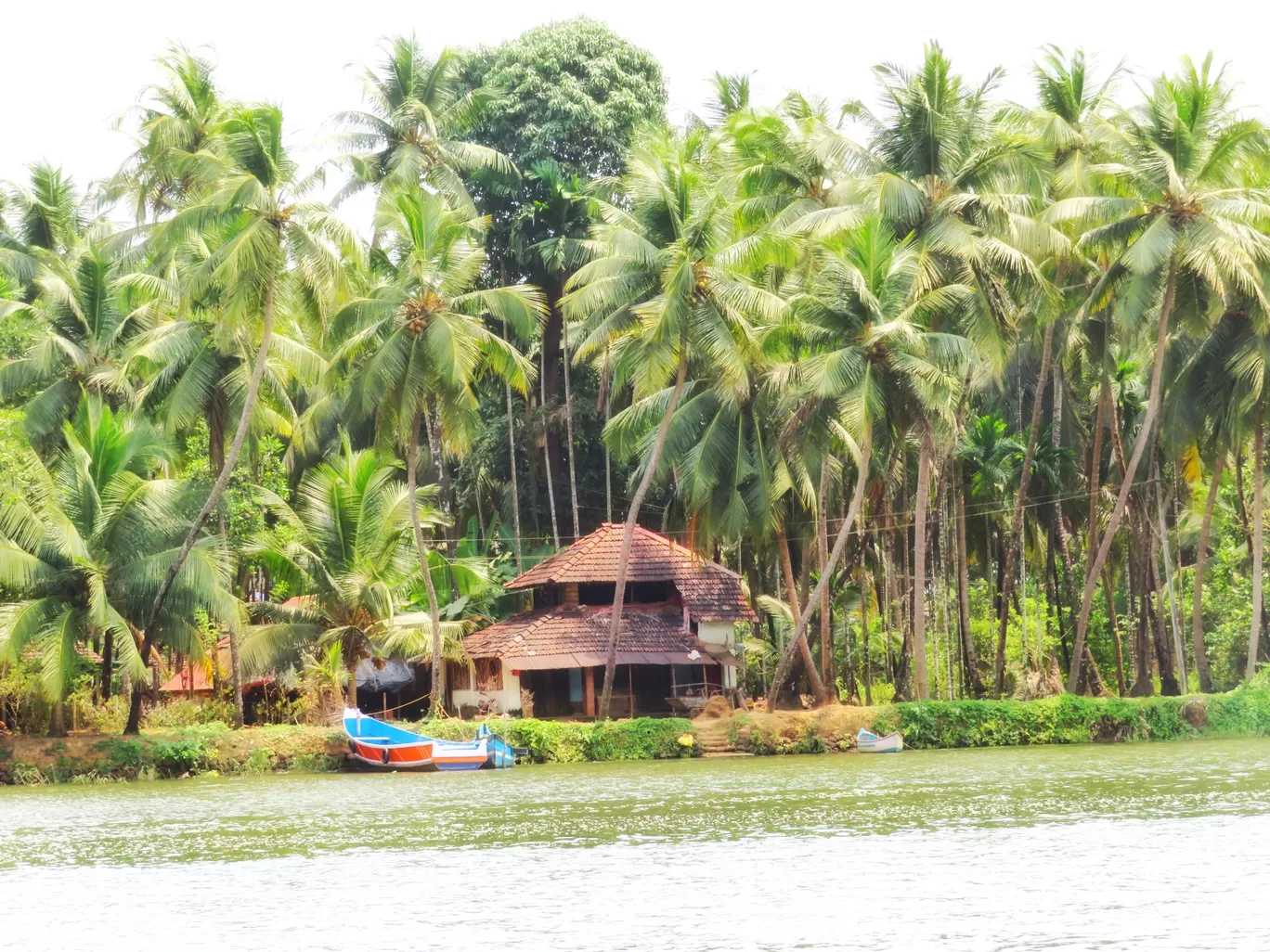 Photo of Sharavati Backwater Boat Ride By Jyoti Pandey