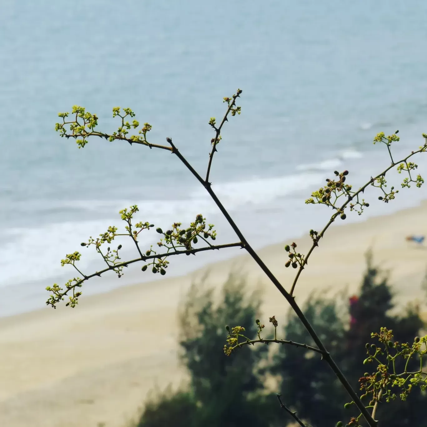 Photo of Gokarna By Jyoti Pandey