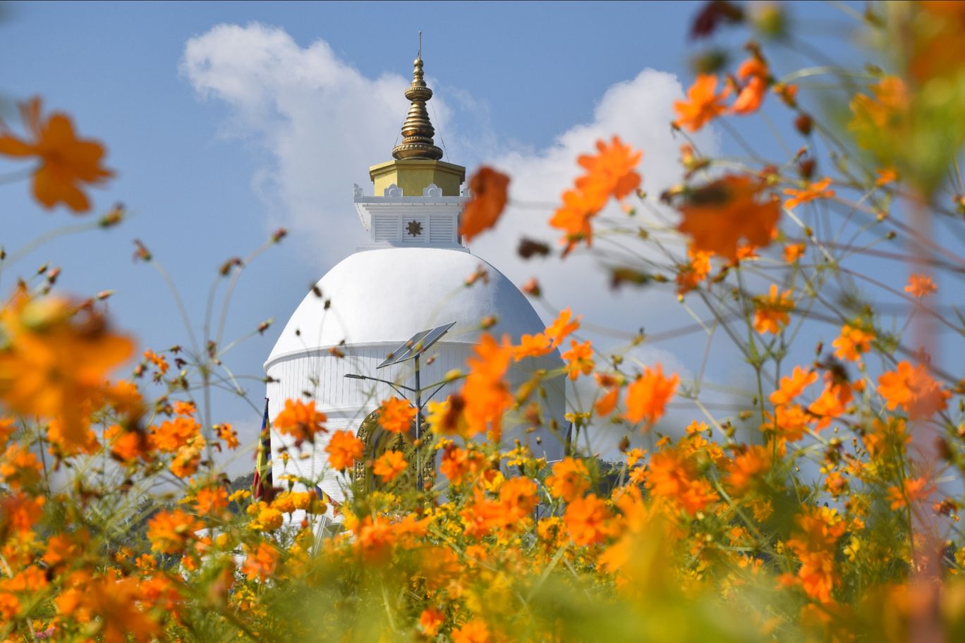 Photo of World Peace Pagoda By Karan Garg