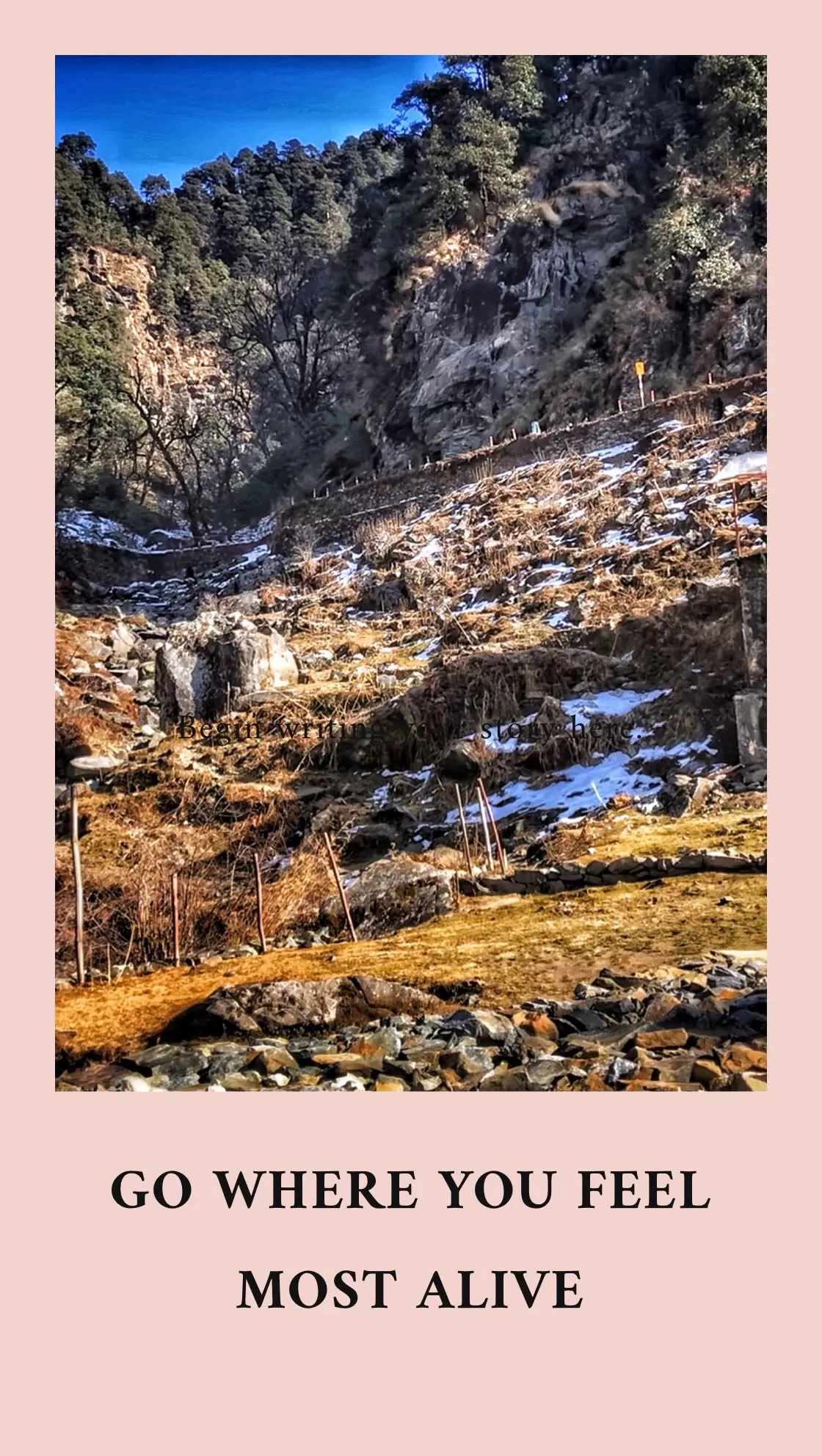 Photo of Chopta By Kashish Soni