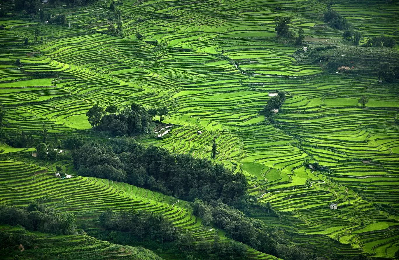 Photo of Kunming By Pranab Basak