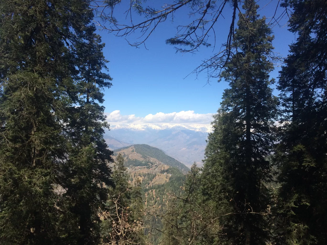 Photo of Simla By swati negi