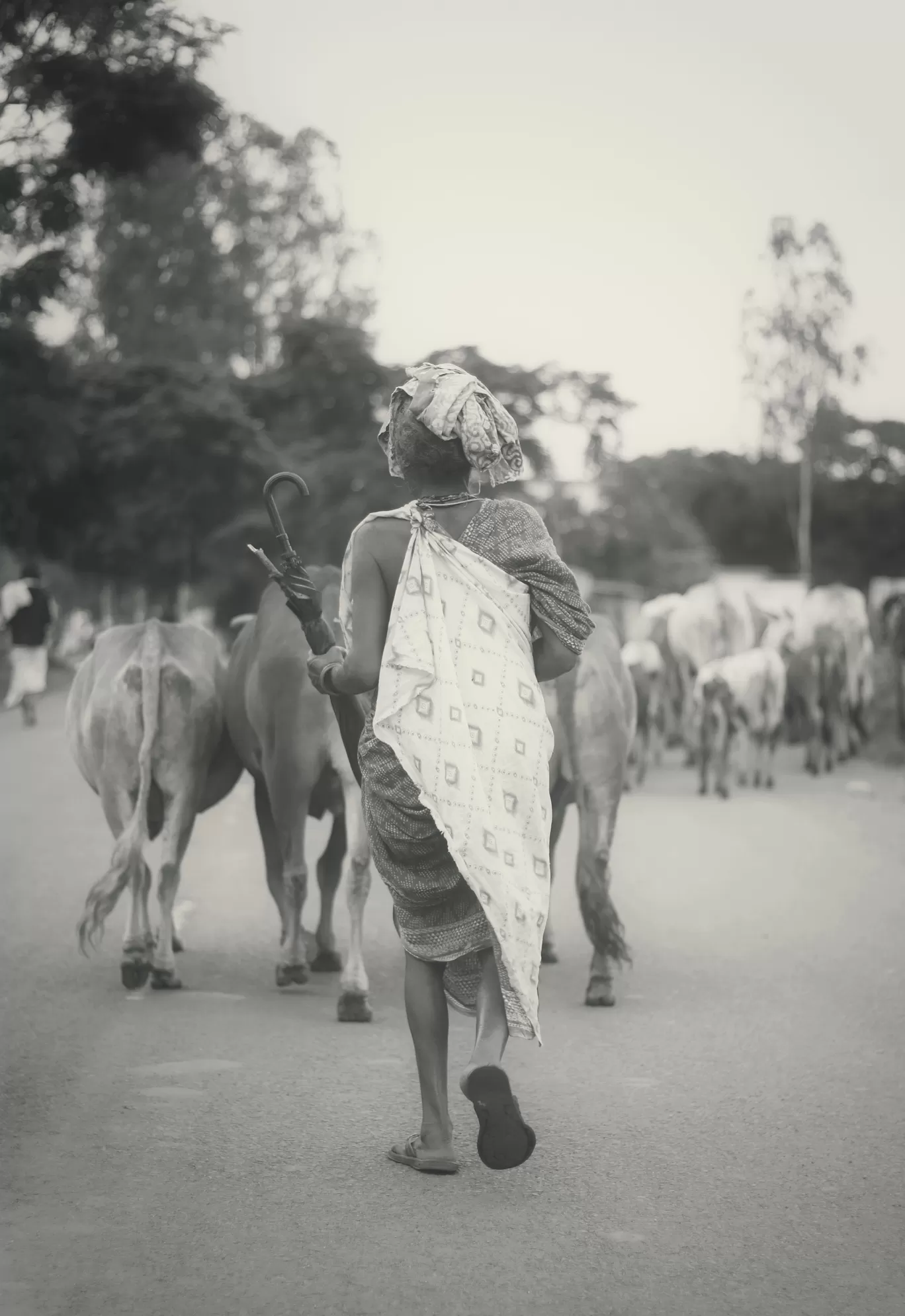 Photo of Aruku By Raaj Menneni