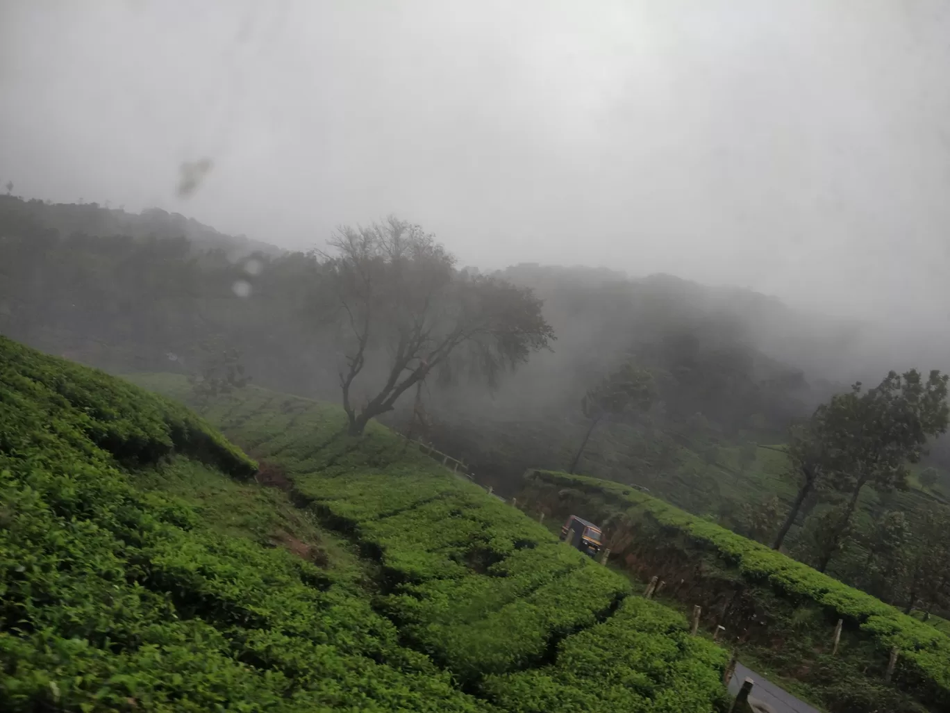Photo of Munnar By shehnaz khan