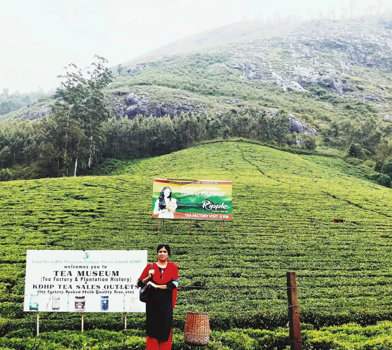 Photo of Munnar By shehnaz khan