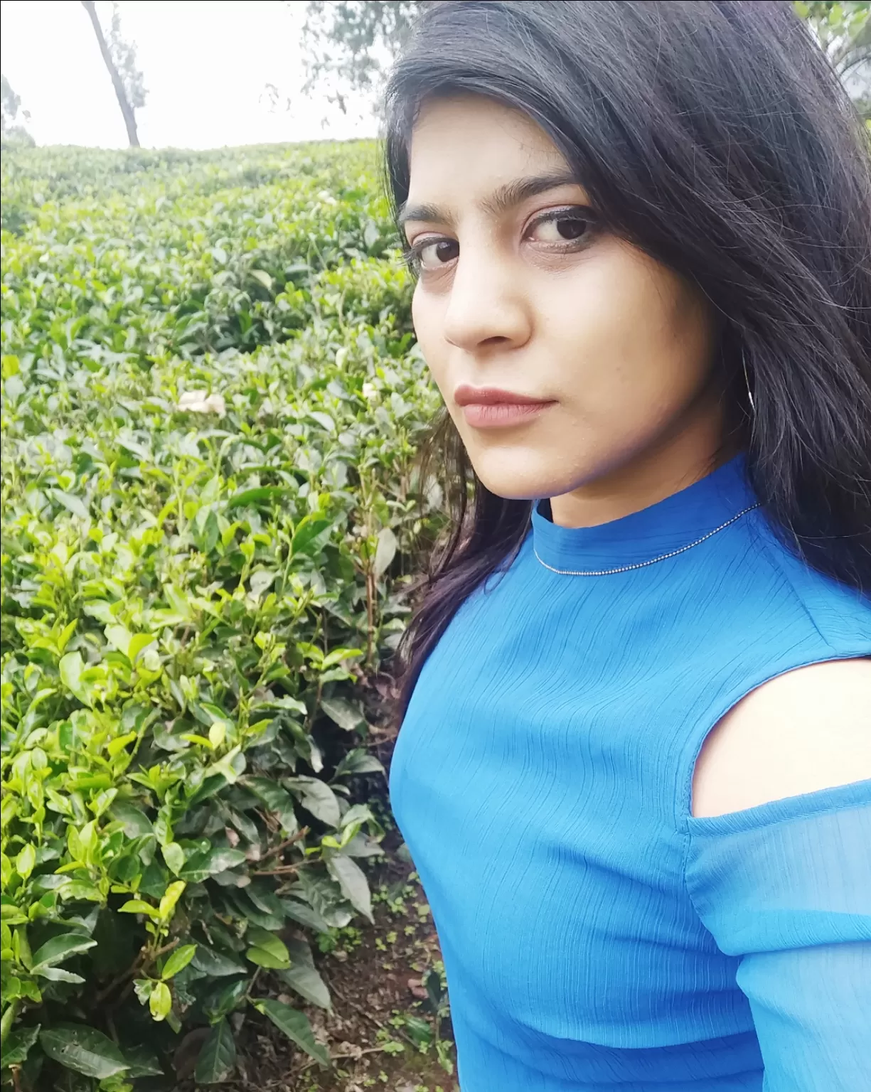 Photo of Munnar By shehnaz khan