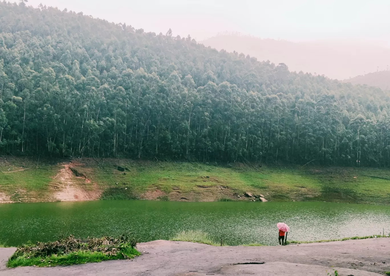 Photo of Munnar By shehnaz khan