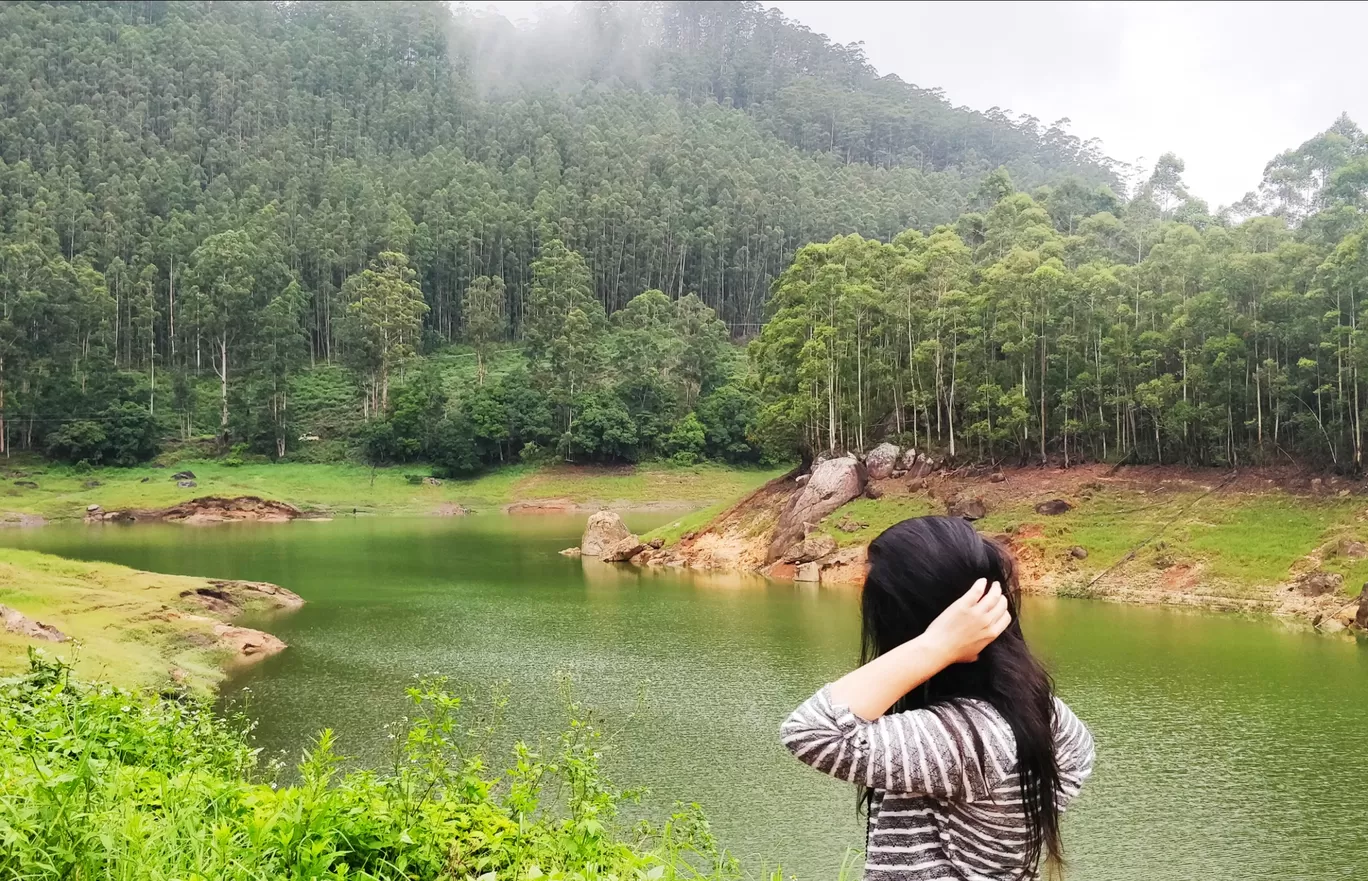 Photo of Munnar By shehnaz khan