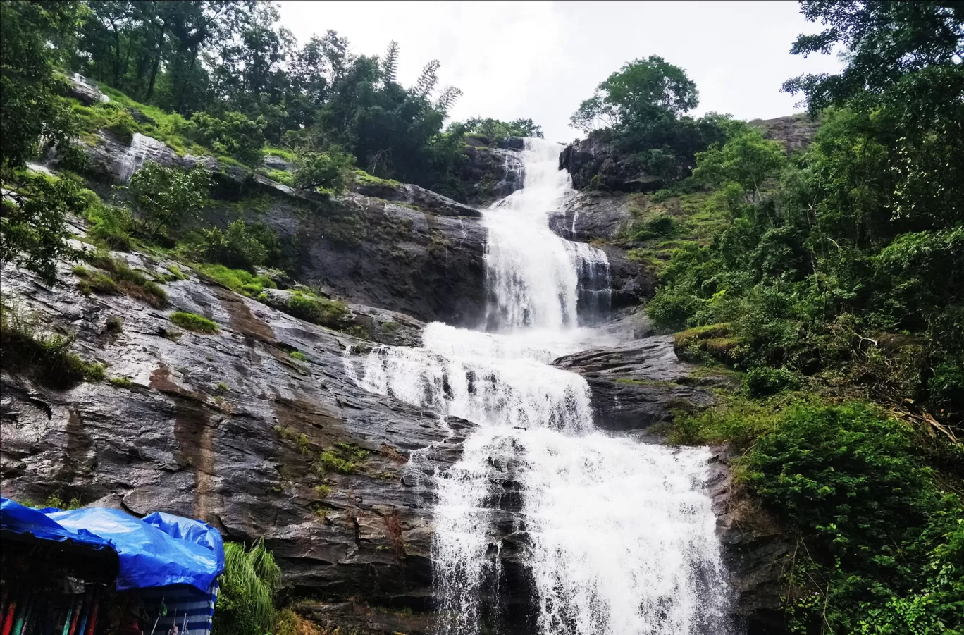 Photo of Munnar By shehnaz khan