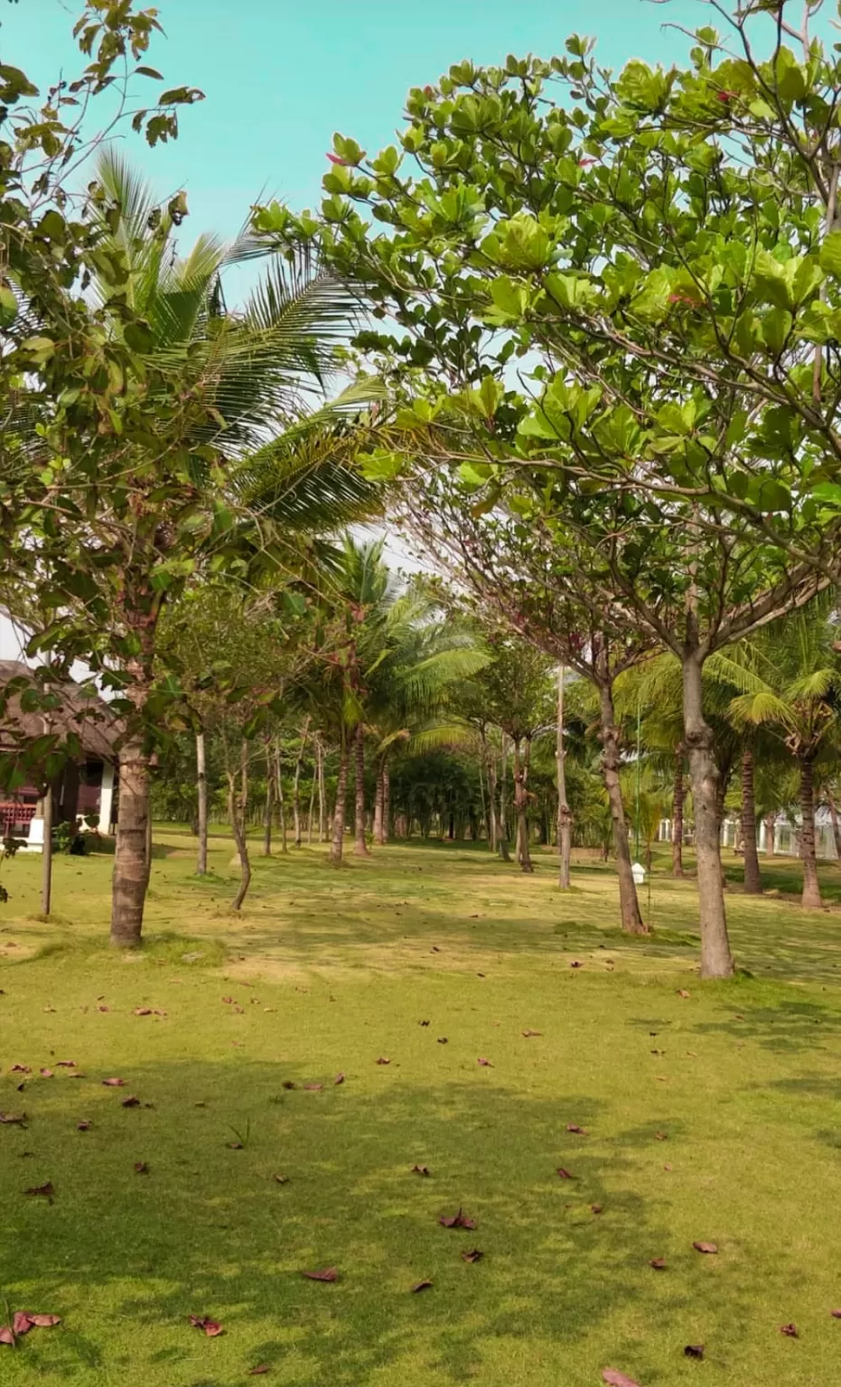 Photo of Pondicherry By shehnaz khan